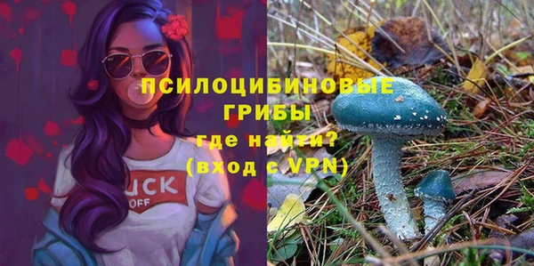 MESCALINE Баксан