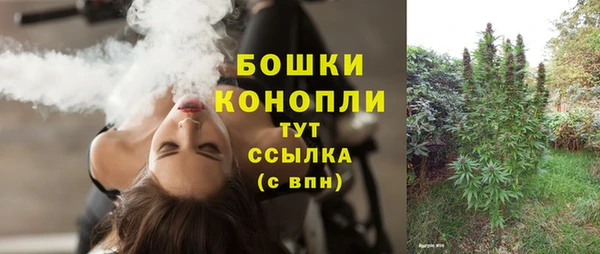 ГАЛЛЮЦИНОГЕННЫЕ ГРИБЫ Балахна