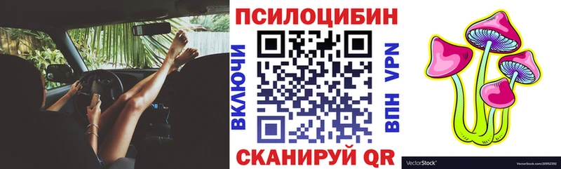 цена   Семикаракорск  Галлюциногенные грибы Psilocybine cubensis 